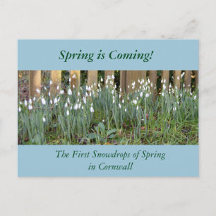 De eerste sneeuwval van de lente in Cornwall Briefkaart