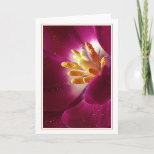 De eerste van het leven kaart