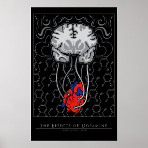 De effecten van dopamine - poster