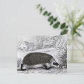 "De egel" Briefkaart (Staand voorkant)