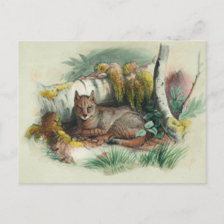 De Egyptische kat van Joseph Wolf Briefkaart
