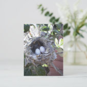 De Eieren van de kolibrie Briefkaart (Staand voorkant)