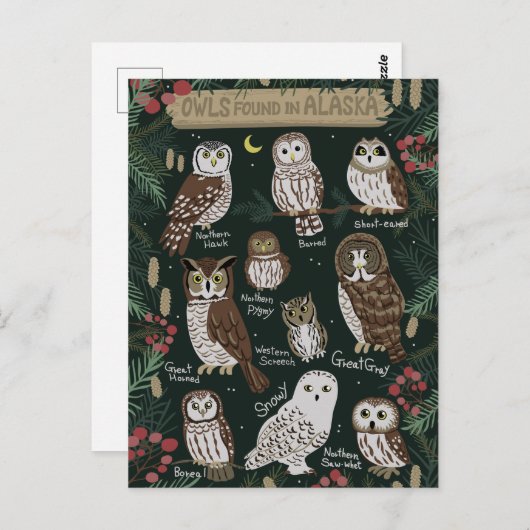 De eigenaar in het Briefkaart van Alaska (Voorkant / Achterkant)