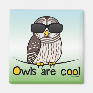 De eigenaar is cool. magneet