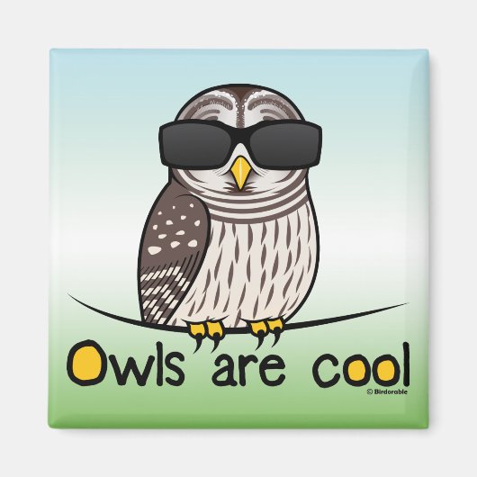 De eigenaar is cool. magneet (Voorkant)