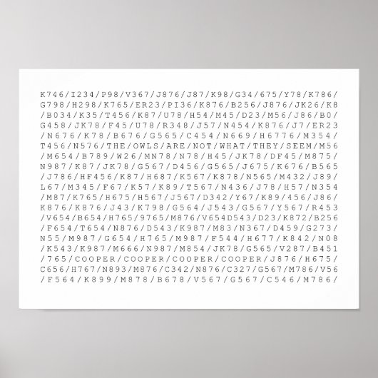 De eigenaar is niet wat hij ziet poster (Voorkant)