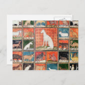 De eigenschappen van beesten: de zoogdieren briefkaart (Voorkant / Achterkant)