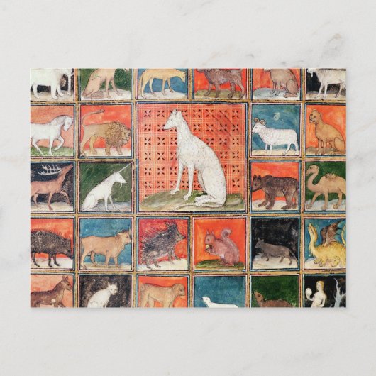 De eigenschappen van beesten: de zoogdieren briefkaart (Voorkant)