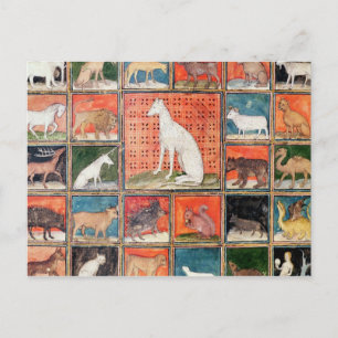 De eigenschappen van beesten: de zoogdieren briefkaart