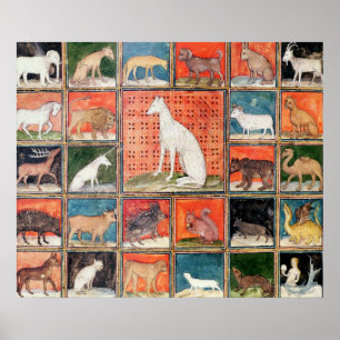 De eigenschappen van beesten: De zoogdieren Poster
