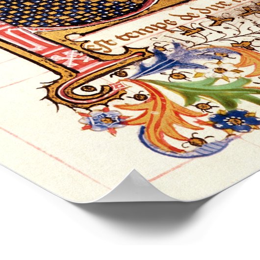 De eigenschappen van de dieren poster (Hoek)