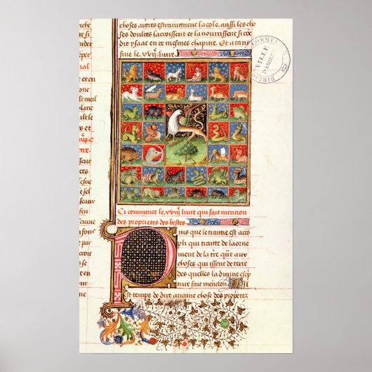 De eigenschappen van de dieren poster (Voorkant)