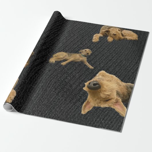 De eigenwijze Airedale-cadeaupapier Cadeaupapier (Uitgerold)