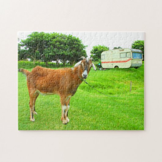 DE EIGENZINNIGE GEIT 11x14 INCH Legpuzzel (Horizontaal)
