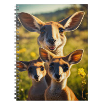 De eigenzinnige Kangoeroe-clan