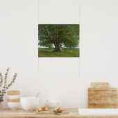 De eikel van Flagey, vercingetorix genaamd Poster (Keuken)