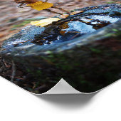 De eikelelf gaat harder worden poster (Hoek)