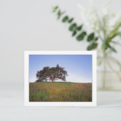 De "eiken Gloed van de Boom " Briefkaart (Staand voorkant)