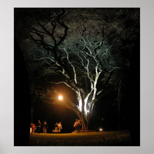 De eikenboom poster (Voorkant)