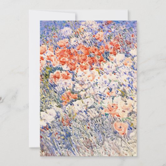 De eilandtuin | Childe Hassam (Voorkant)