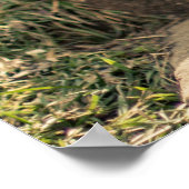 De eiverzamelaar poster (Hoek)