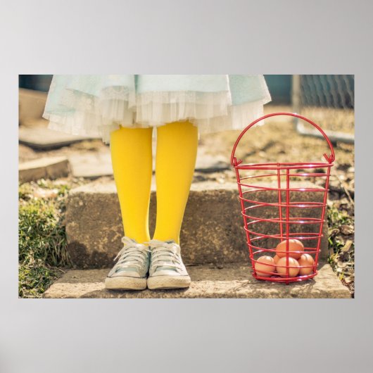 De eiverzamelaar poster (Voorkant)