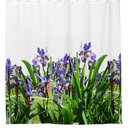 DE ELEGANT IRIS-STROOM    DOUCHEGORDIJN (Voorkant)