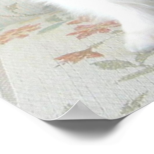 De Elegant Papillon Poster (Hoek)