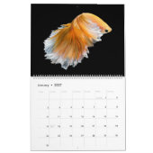 De elegante Betta Kalender (Jan 2027)