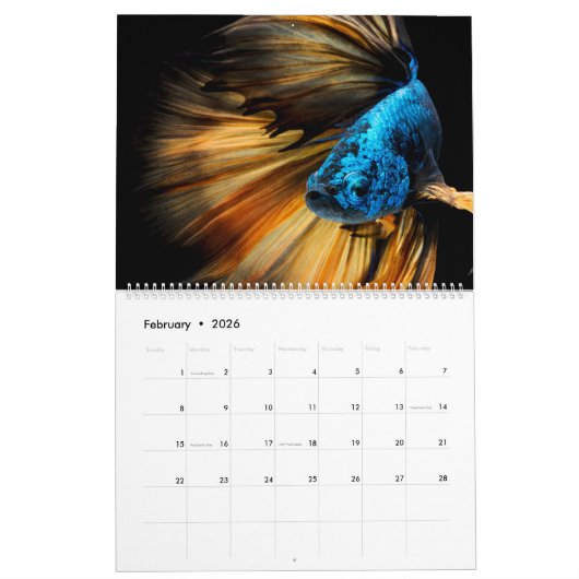 De elegante Betta Kalender (Feb 2026)