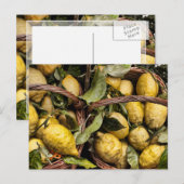 De elegante Italiaanse Amalfi van de Mand van de Briefkaart (Voorkant / Achterkant)