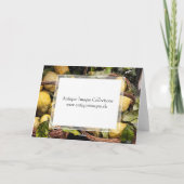 De elegante Italiaanse Amalfi van de Mand van de Kaart (Achterkant)