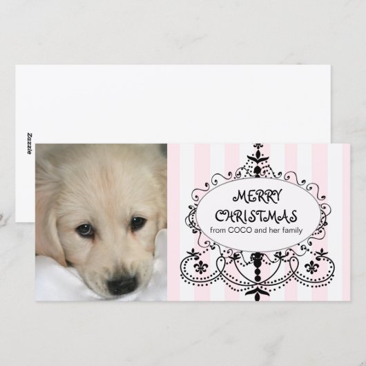 De elegante Kaart van de Foto van Kerstmis van de (Voorkant / Achterkant)