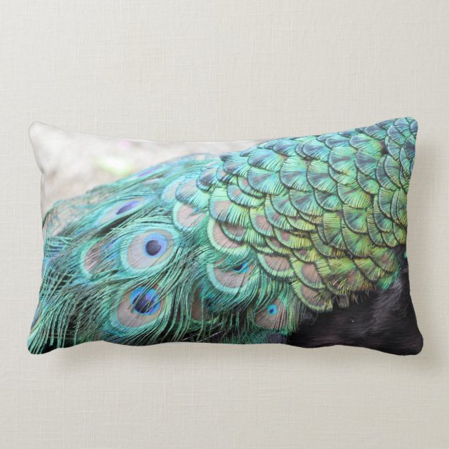 De elegante lumbale veren van de pauw werpen lumbar kussen zazzle