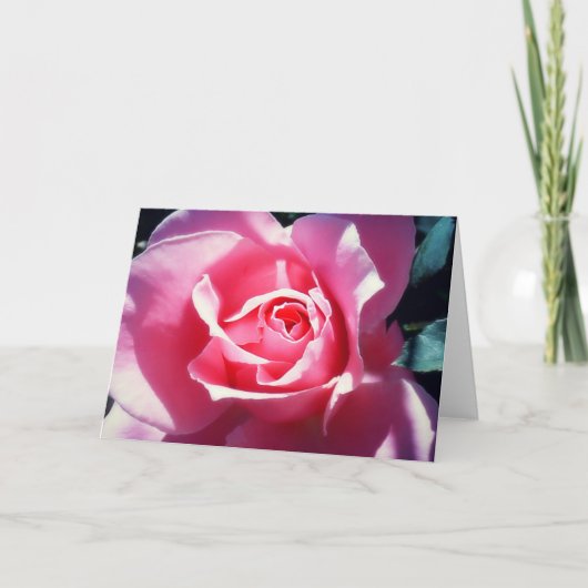 De elegante Roze Kaart van Valentijn van Rozen (Voorkant)