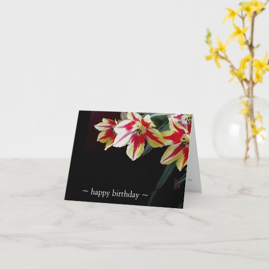 De elegante Tulpen van de Kaarten van de (Gele Bloem)