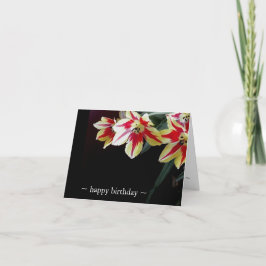 De elegante Tulpen van de Kaarten van de
