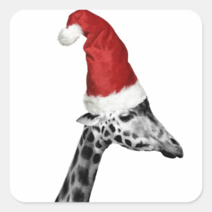 De Elegantie van de Kerst Giraffe Vierkante Sticker
