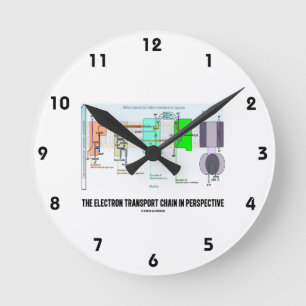 De elektronentransportketen in perspectief ronde klok