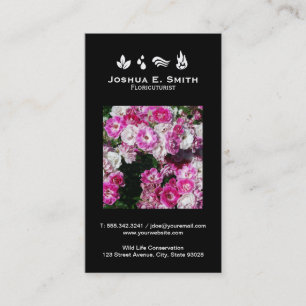 De elementen   Milieu V Visitekaartje