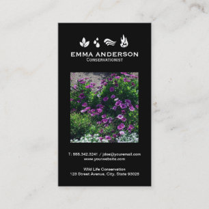 De elementen   Milieu Visitekaartje