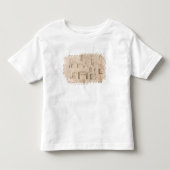 De elementen van de scheikunde" kinder shirts (Voorkant)