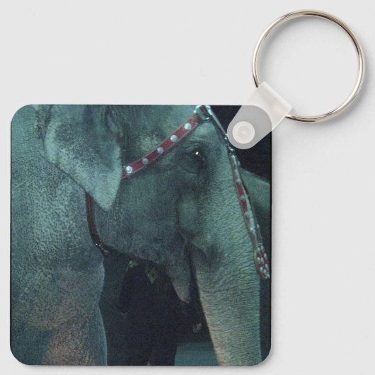 DE ELEPHANT-sleutelhanger Sleutelhanger (Achterkant)