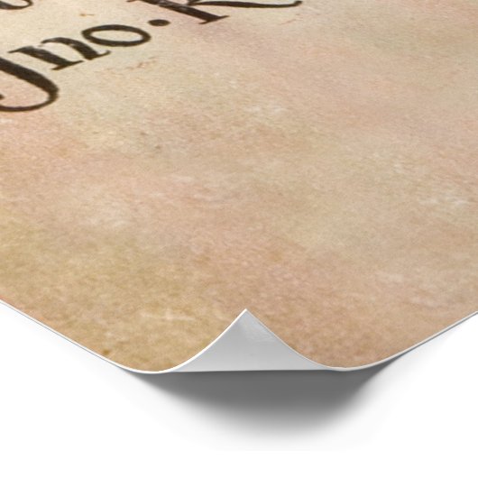 De Emerald City of Oz Poster (Hoek)