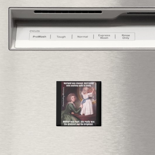 De  en de Helderste Magneet (Insitu (Vaatwasser))