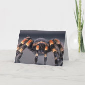 De enge spin van de Tarantula Kaart (Voorkant)