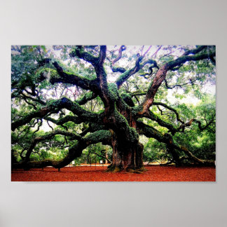 De engel Oak Poster