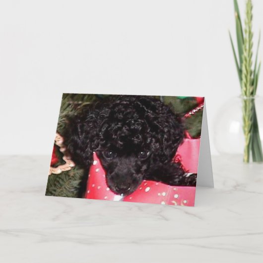 De Engel van Kerstmis Feestdagen Kaart (Voorkant)