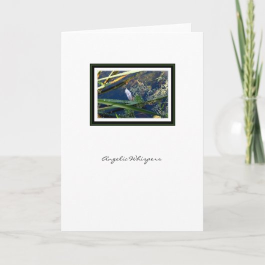 De engelachtige Veer van de Engel van het Kaart (Voorkant)