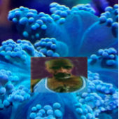 De engelen zullen je vangen canvas afdruk